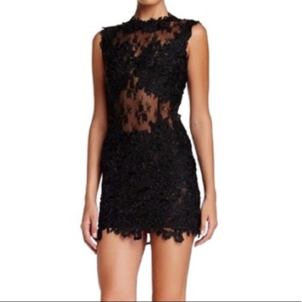 Issue New York Lace Sheer Dress